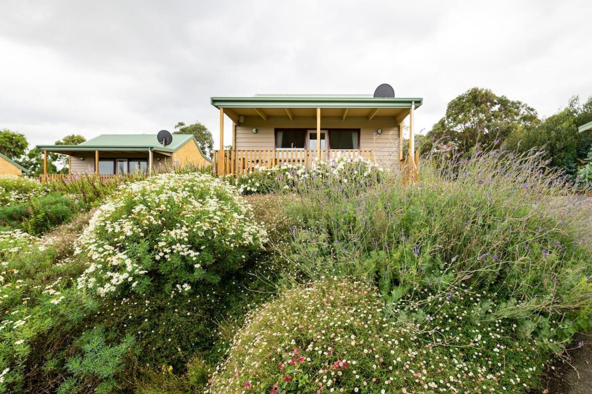 Lodge Daysy Hill Country *
